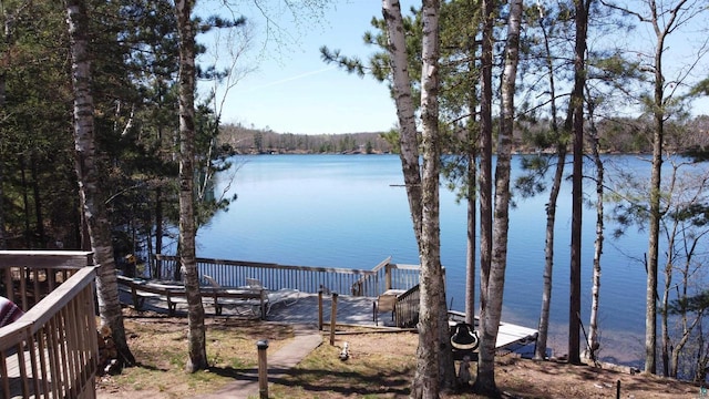 65485 Millicent Point Dr, Iron River, WI 54847 - water view