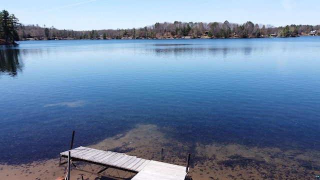 65485 Millicent Point Dr, Iron River, WI 54847 - dock featuring a water view