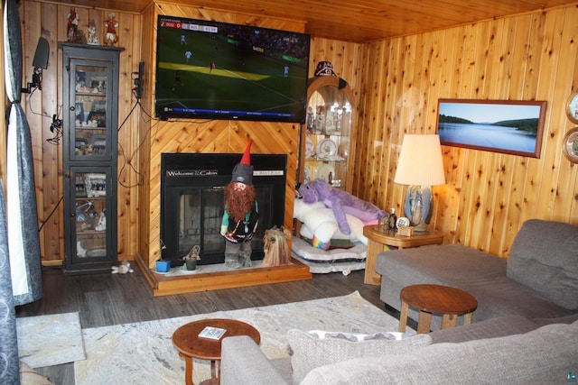 65485 Millicent Point Dr, Iron River, WI 54847 - living area featuring a glass covered fireplace, wooden walls, and wood finished floors