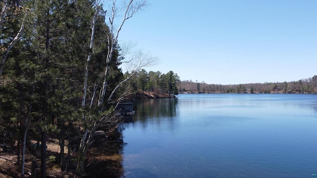 65485 Millicent Point Dr, Iron River, WI 54847 - water view featuring a heavily wooded area