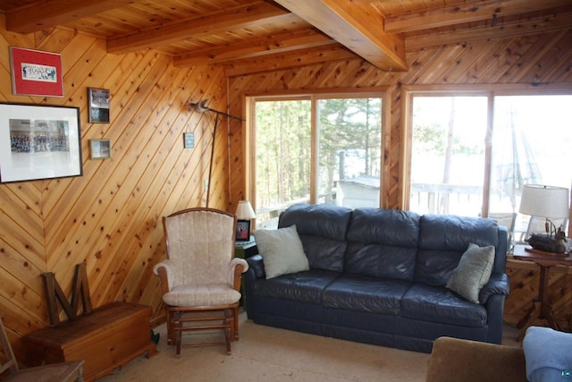 65485 Millicent Point Dr, Iron River, WI 54847 - living area with plenty of natural light, wood walls, and wooden ceiling with exposed beams