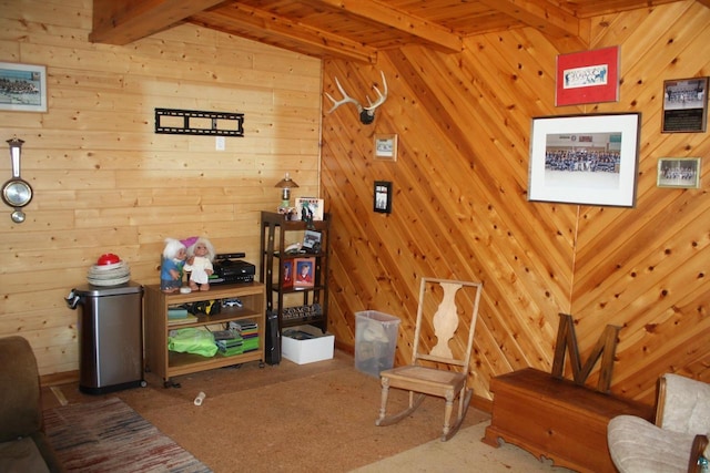 65485 Millicent Point Dr, Iron River, WI 54847 - sitting room with wooden walls and carpet flooring
