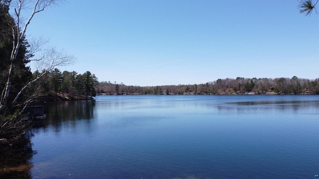 65485 Millicent Point Dr, Iron River, WI 54847 - water view with a forest