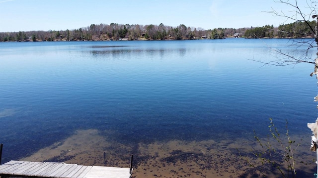 65485 Millicent Point Dr, Iron River, WI 54847 - water view
