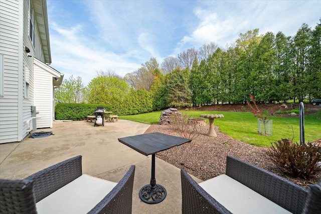 1755 Laura Ln, Port Washington, WI 53074 - view of patio / terrace with grilling area