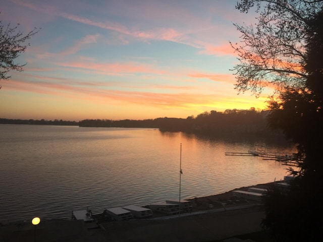 131 Lance Dr Unit 14, Twin Lakes, WI 53181 - water view