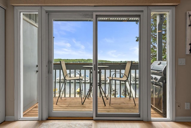 131 Lance Dr Unit 14, Twin Lakes, WI 53181 - entryway featuring a water view, wood finished floors, and baseboards
