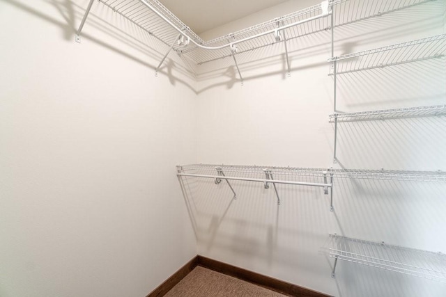 1996 Tucker Trl, Eau Claire, WI 54703 - walk in closet featuring carpet