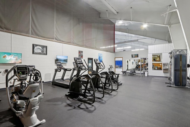 874 Xanadu Rd, Wisconsin Dells, WI 53965 - exercise room with a towering ceiling