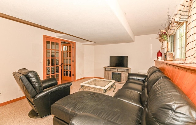 8940 Marie Ct, Mount Pleasant, WI 53406 - living room with carpet floors, baseboards, and a fireplace