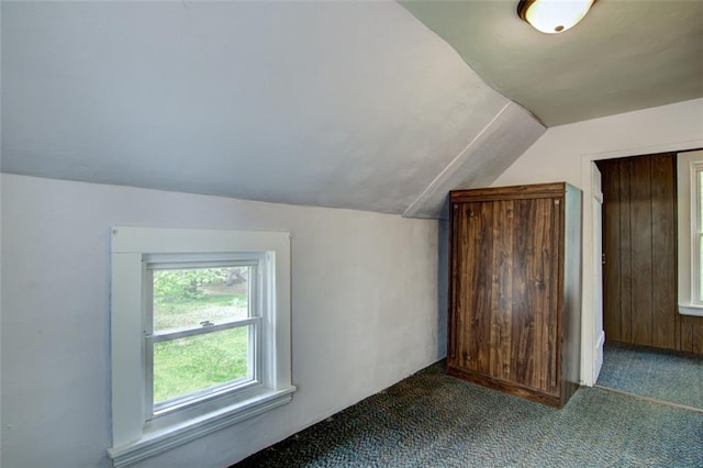 320 E Linden St, Chippewa Falls, WI 54729 - additional living space with vaulted ceiling and carpet flooring