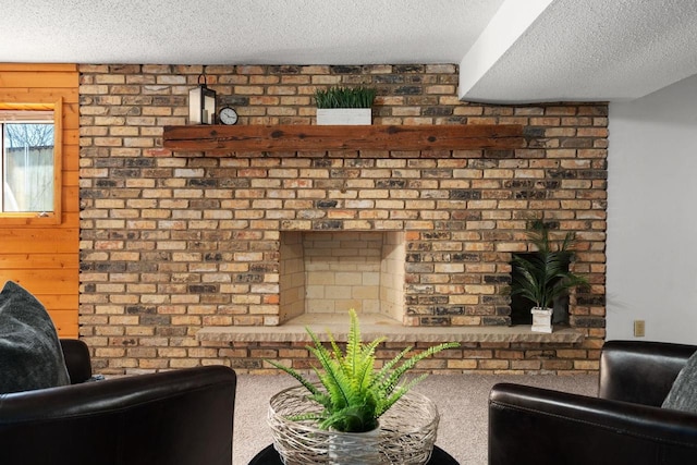 6208 Indian Mound Dr, Mcfarland, WI 53558 - living area with a textured ceiling and carpet