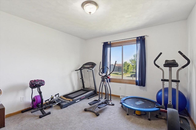 605 E Rime St, Orfordville, WI 53576 - exercise area featuring carpet flooring and baseboards