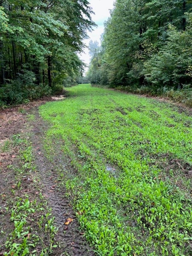 Walnut Rd, Kennan, WI 54537
