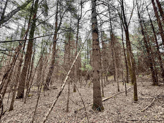 Bergeson Ln, Amberg, WI 54102