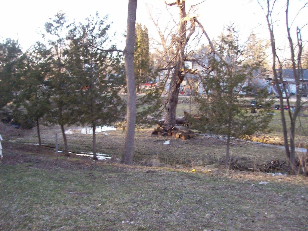 224 N Main St, Westfield, WI 53964 - view of yard