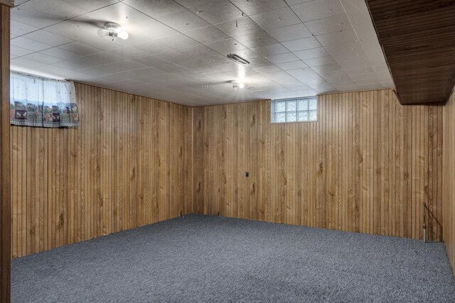 2530 Onalaska Ave, La Crosse, WI 54603 - below grade area featuring wooden walls and carpet