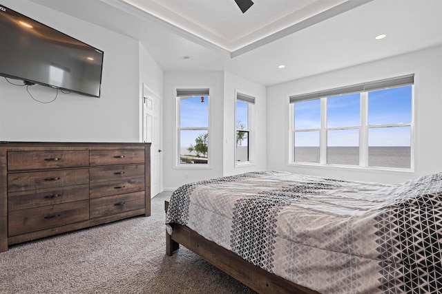 1150 S Bay Shore Rd, Brussels, WI 54204 - carpeted bedroom featuring recessed lighting and ceiling fan