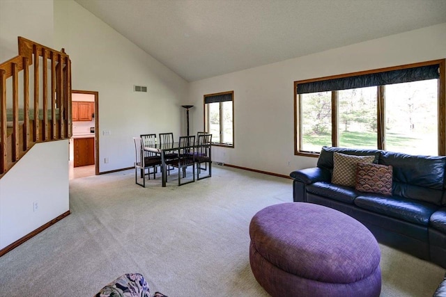 6460 Shady Bend Rd, Verona, WI 53593 - living room featuring light carpet, baseboards, and high vaulted ceiling