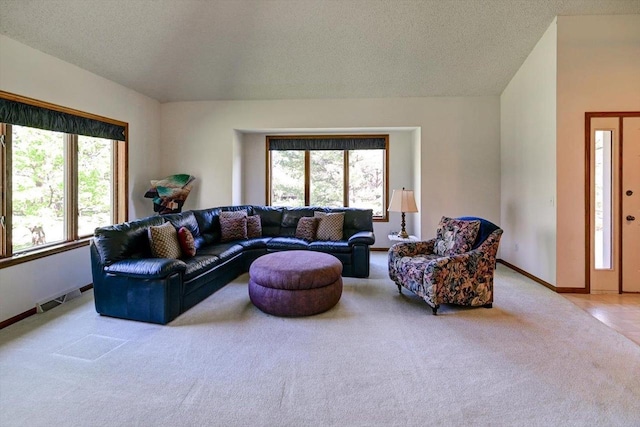 6460 Shady Bend Rd, Verona, WI 53593 - carpeted living room featuring a textured ceiling, plenty of natural light, and baseboards