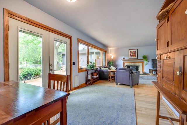 5102 Marathon Dr, Madison, WI 53705 - living area featuring light wood finished floors, a fireplace, and radiator