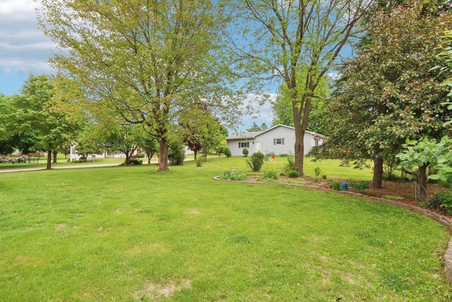 1902 Winfield Dr, Reedsburg, WI 53959 - view of green lawn