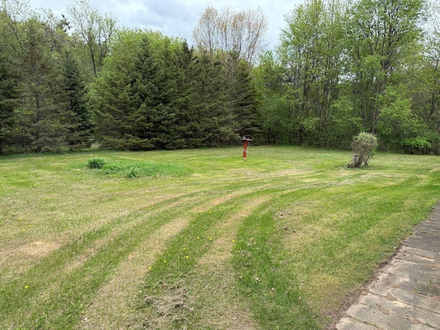 W12574 US Highway 45, Marion, WI 54950 - view of green lawn