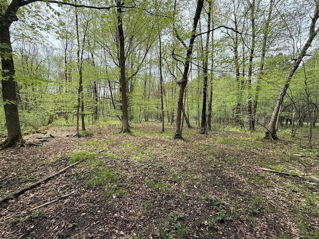 W12574 US Highway 45, Marion, WI 54950 - view of woods