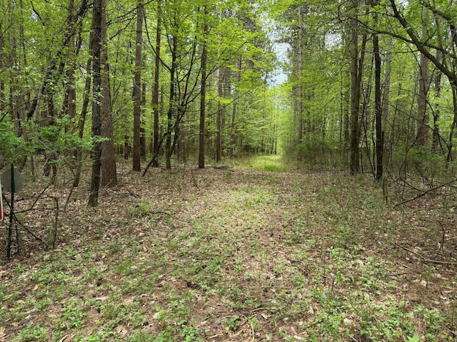 W12574 US Highway 45, Marion, WI 54950 - view of wooded area
