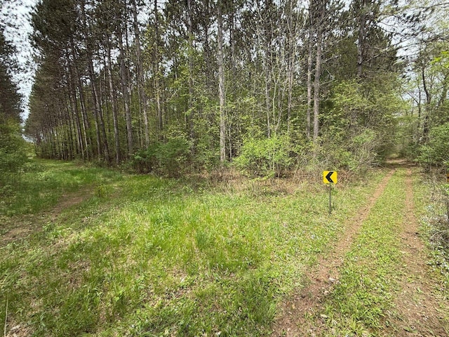 W12574 US Highway 45, Marion, WI 54950 - view of tree filled area