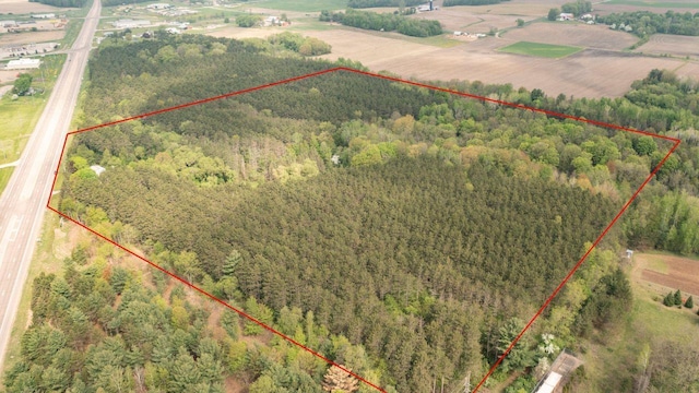 W12574 US Highway 45, Marion, WI 54950 - aerial view of property's location with a forest and property boundaries highlighted