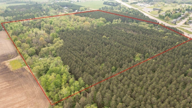 W12574 US Highway 45, Marion, WI 54950 - aerial overview of property's location with a heavily wooded area and property parcel outlined