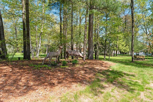 N3154 River Bend Dr, Peshtigo, WI 54157 - view of grassy yard