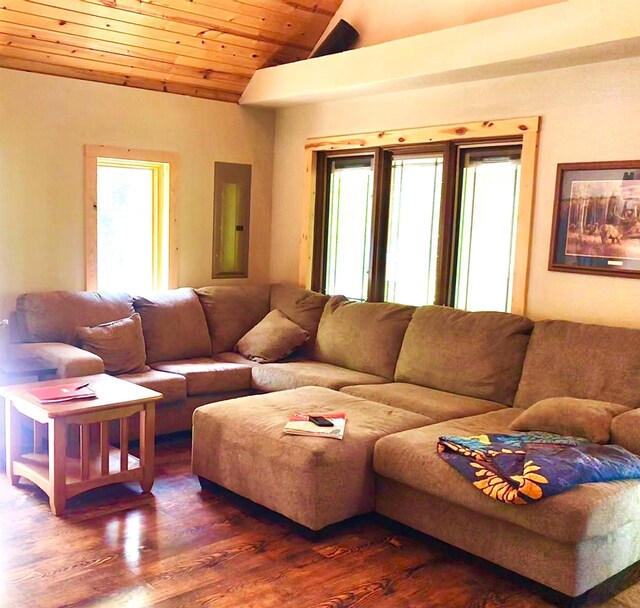 1458 Woodlawn Rd, Pickerel, WI 54465 - living room featuring vaulted ceiling, wooden ceiling, and dark wood-type flooring