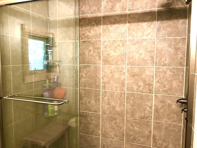 1458 Woodlawn Rd, Pickerel, WI 54465 - bathroom featuring a shower stall