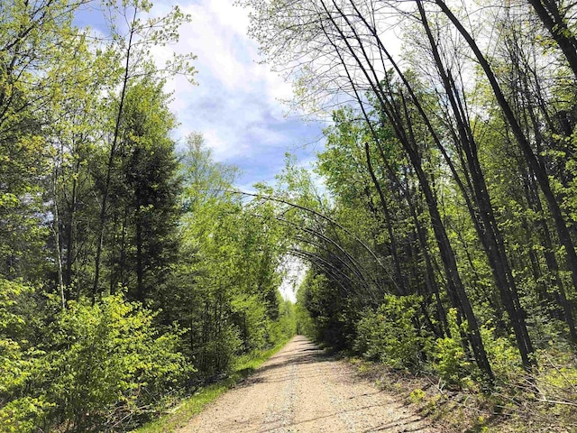 1458 Woodlawn Rd, Pickerel, WI 54465 - view of road with a wooded view