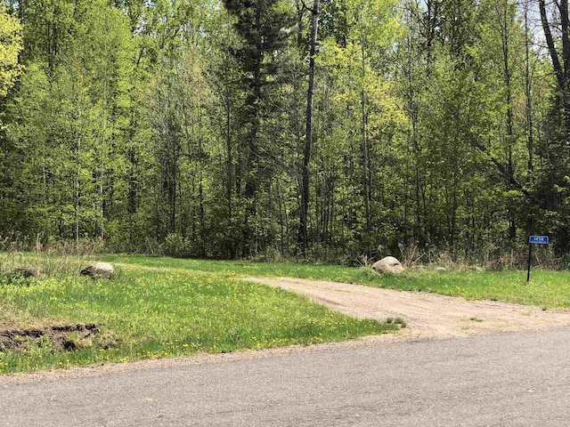 1458 Woodlawn Rd, Pickerel, WI 54465 - view of street with a forest view