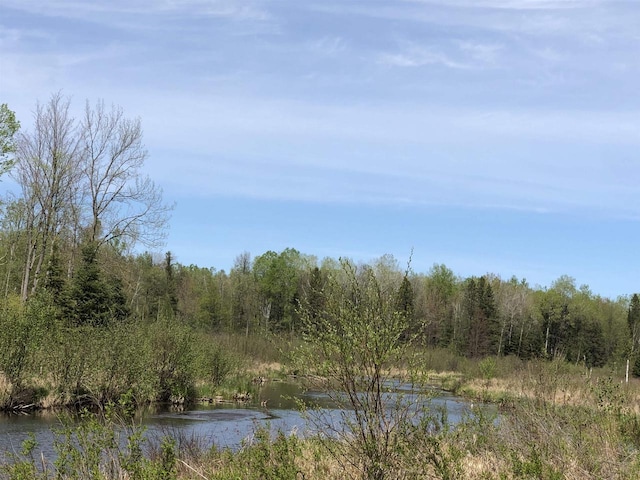 1458 Woodlawn Rd, Pickerel, WI 54465 - water view