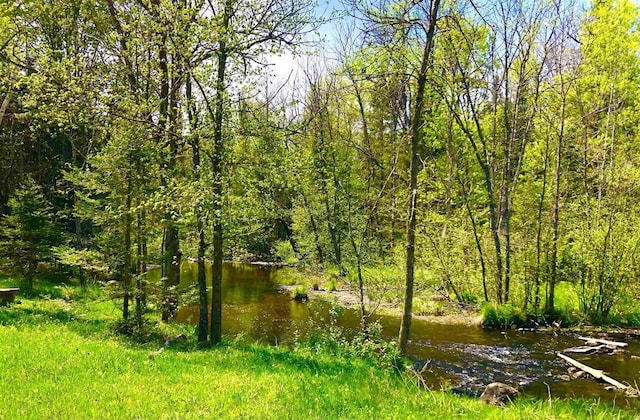 1458 Woodlawn Rd, Pickerel, WI 54465 - view of nature
