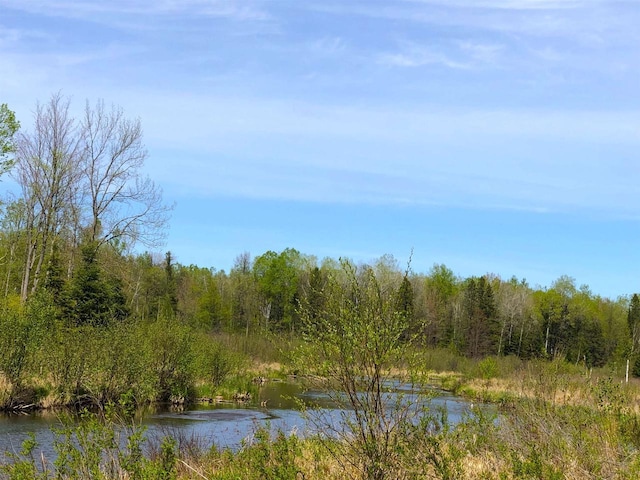 1458 Woodlawn Rd, Pickerel, WI 54465 - water view