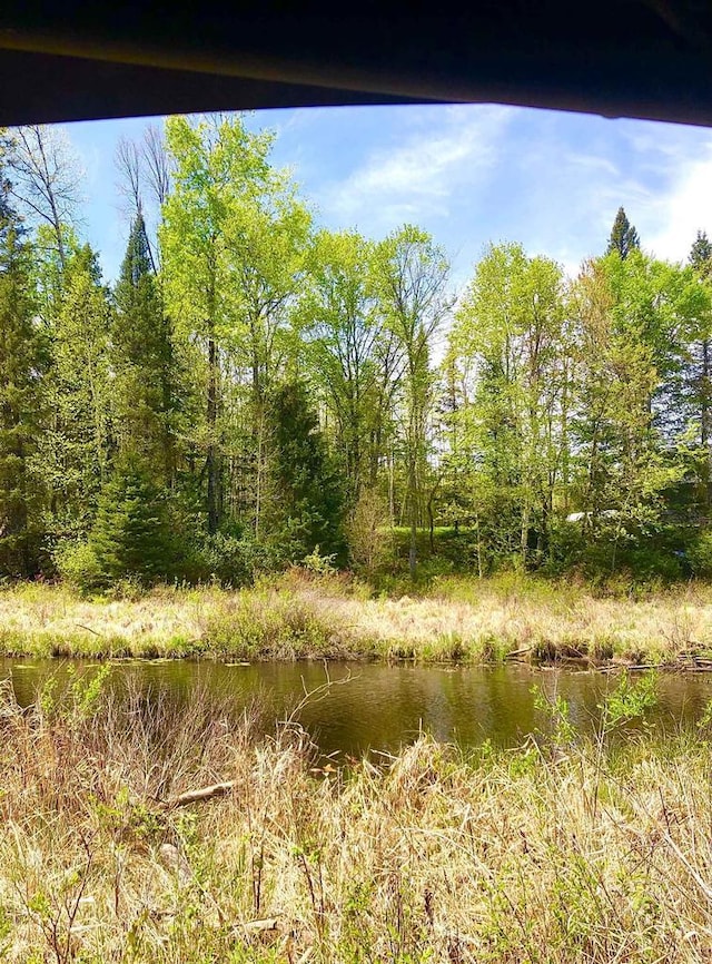 1458 Woodlawn Rd, Pickerel, WI 54465 - view of local wilderness