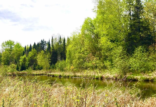 1458 Woodlawn Rd, Pickerel, WI 54465 - view of undeveloped land