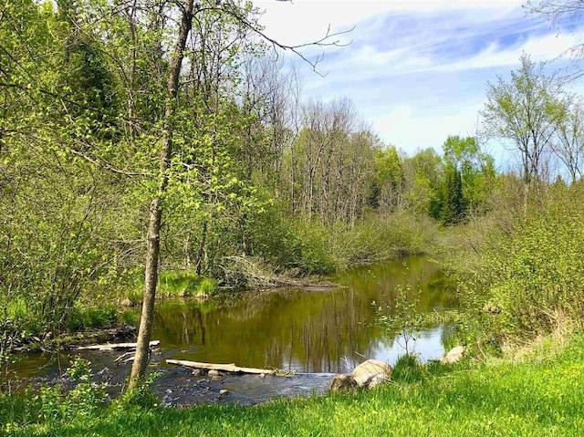 1458 Woodlawn Rd, Pickerel, WI 54465 - water view
