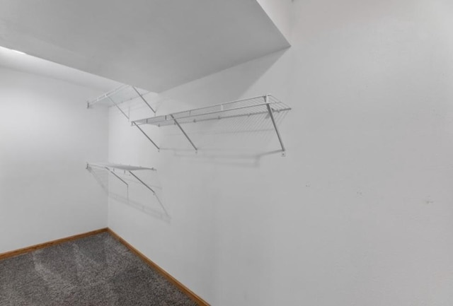 2605 River Ridge Drive, Waukesha, WI 53189 - spacious closet featuring carpet flooring