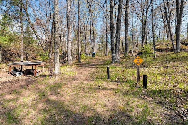 15393 Jacklin Heights Cir, Crivitz, WI 54114 - view of yard