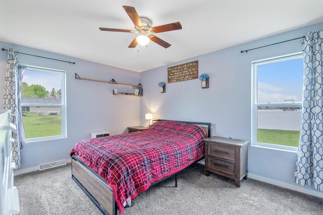 900 Edgewater Dr, Merrill, WI 54452 - bedroom with multiple windows, carpet, and baseboards