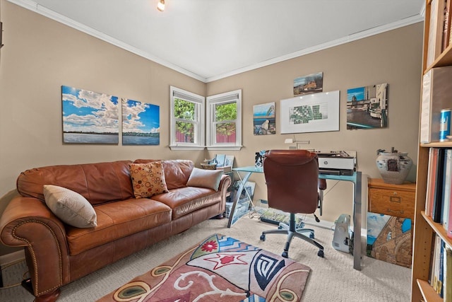 N8991 E Miramar Dr Unit N8993, East Troy, WI 53120 - office space featuring carpet flooring and ornamental molding