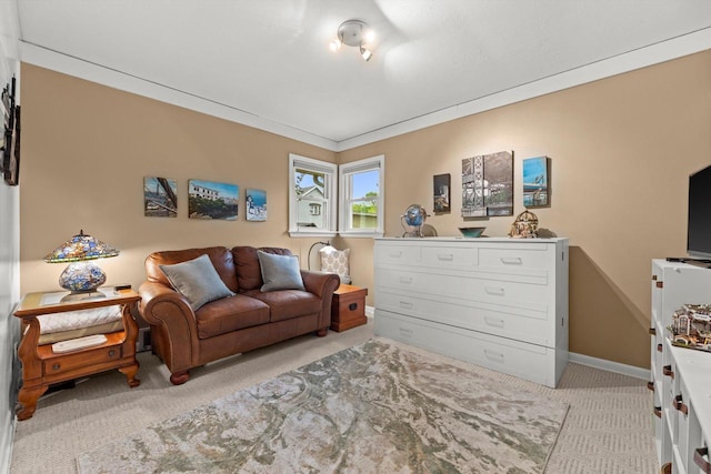 N8991 E Miramar Dr Unit N8993, East Troy, WI 53120 - living room with light carpet and baseboards