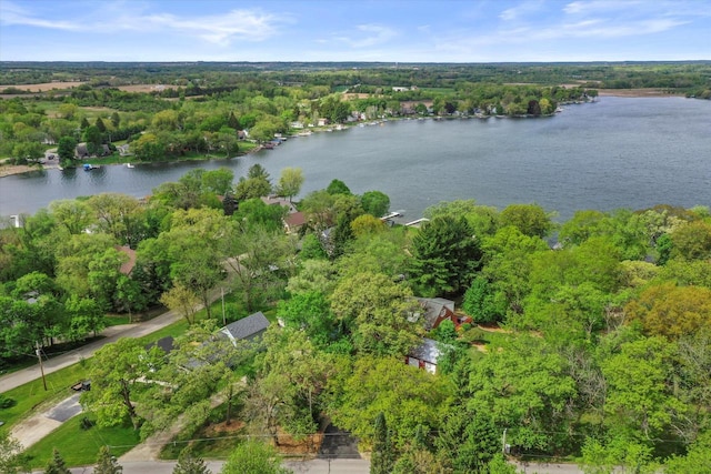 N8991 E Miramar Dr Unit N8993, East Troy, WI 53120 - aerial view of property's location with a large body of water and a forest