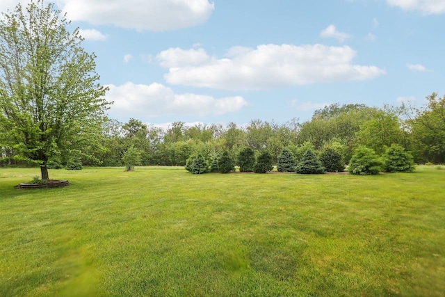 615 Jefferson St, Waterloo, WI 53594 - view of grassy yard
